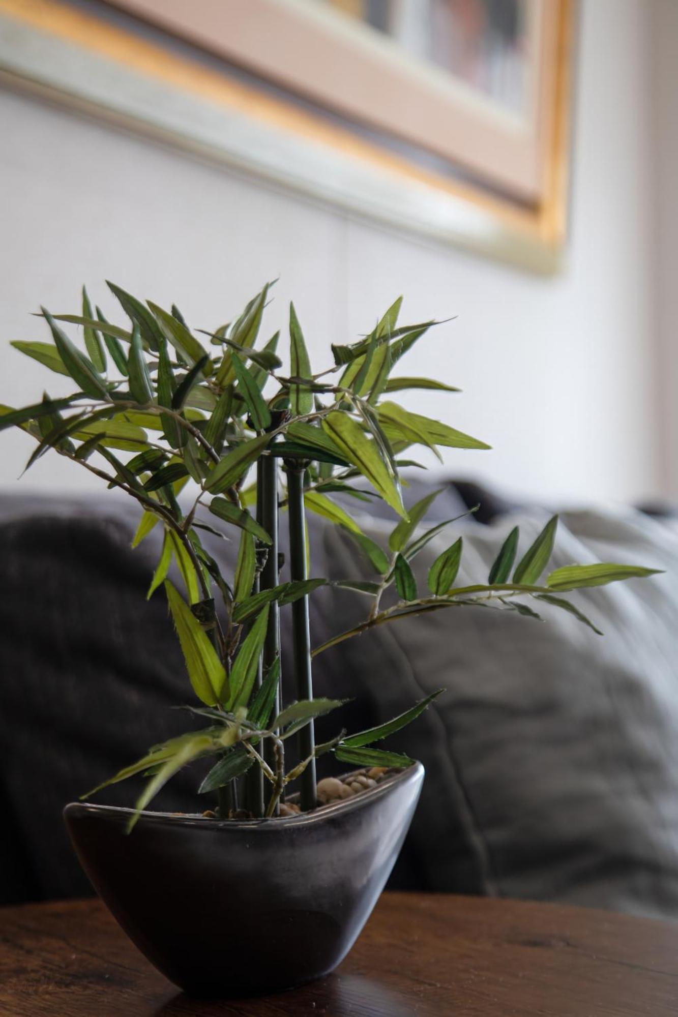 לימה Modern 1Br Loft Close To The Seawalk Of Miraflores מראה חיצוני תמונה